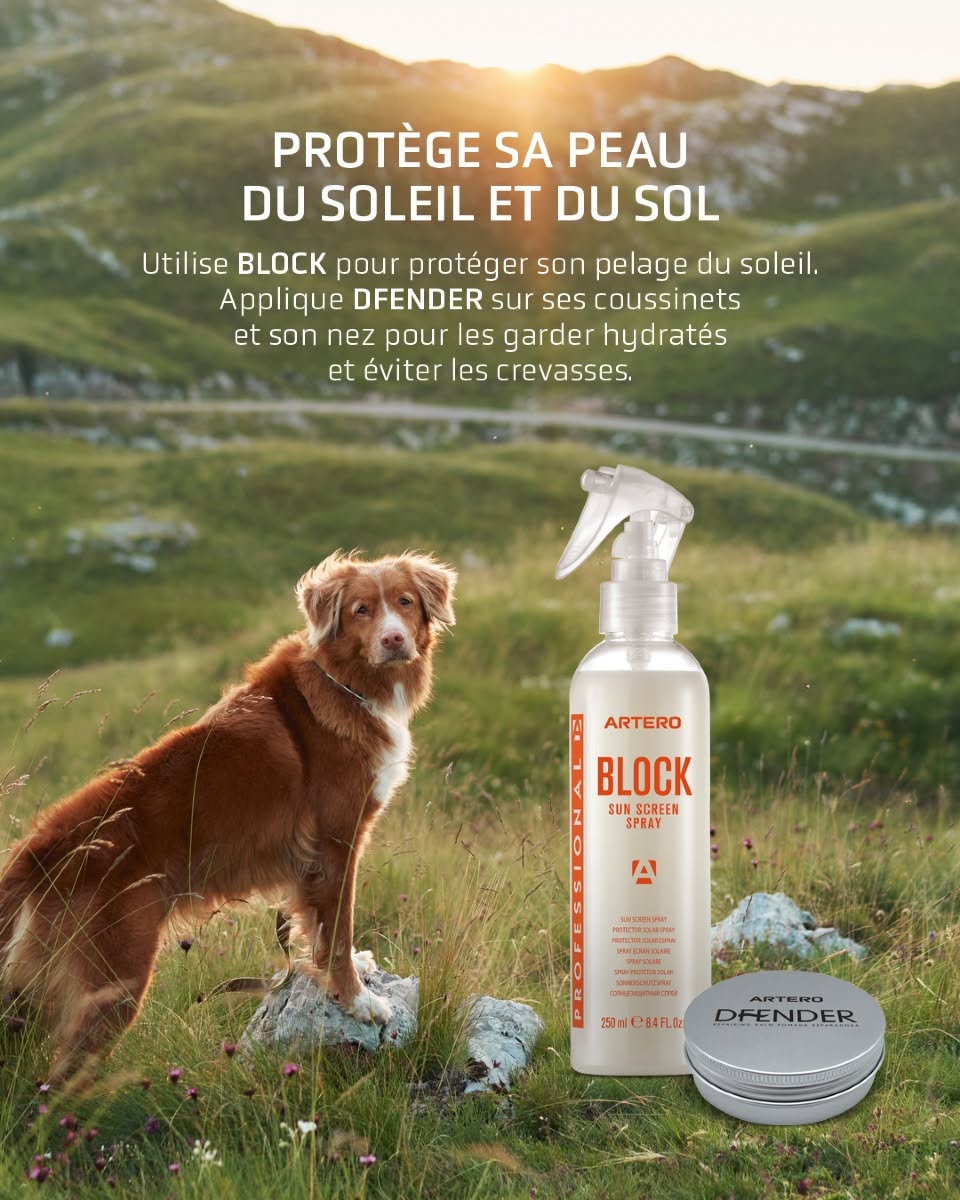 Artero Block et Dfender pour protéger le pelage, les coussinets et la truffe en été