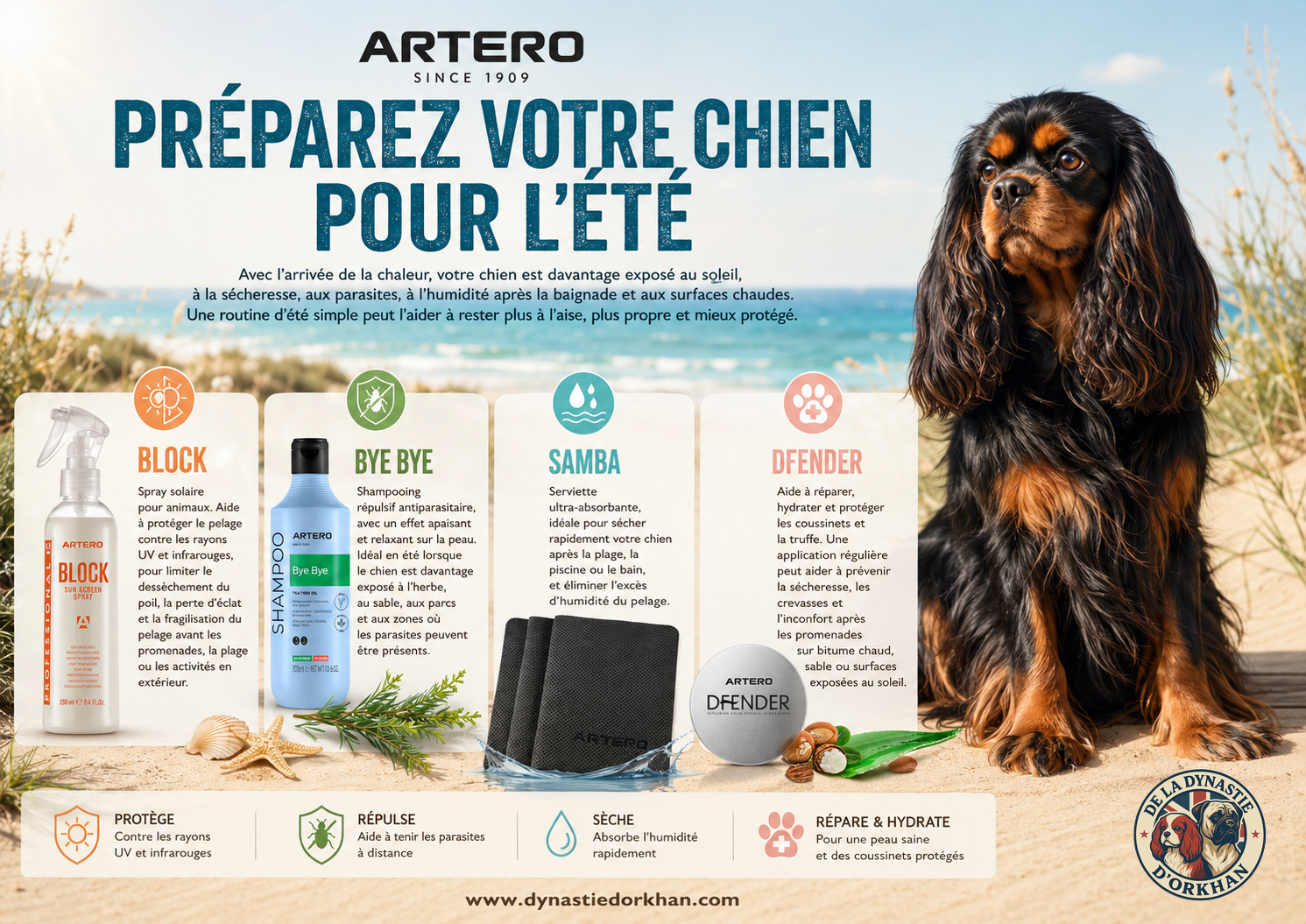 Routine d'été Artero pour chien avec Block, Bye Bye, Samba et Dfender