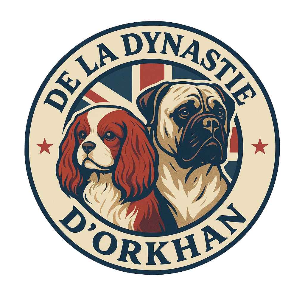 Logo de l'Élevage de la Dynastie d'Orkhan